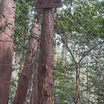 ここからは連続で鎌北アルプス
谷ツ山山頂⛰️
