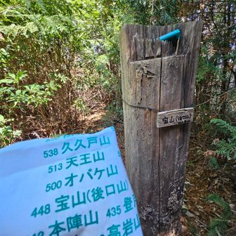 宝山　（飯百　99座目）

またここも薮じゃないの！😱
