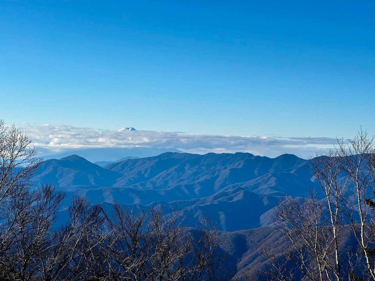 小袖登山口-堂所-七ツ石山-五十人平野営場管理小屋-ヨモギ 縦走コースの写真