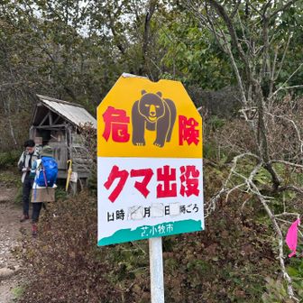 よく見ると、クマが出没してない！
