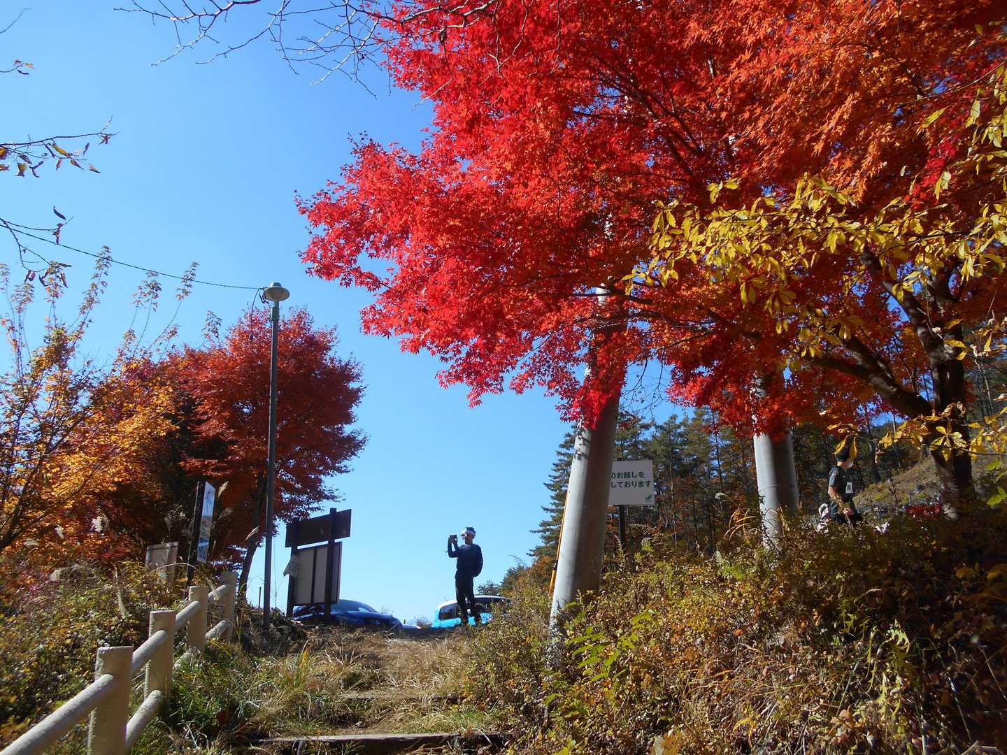 …🅿️に無事下山です