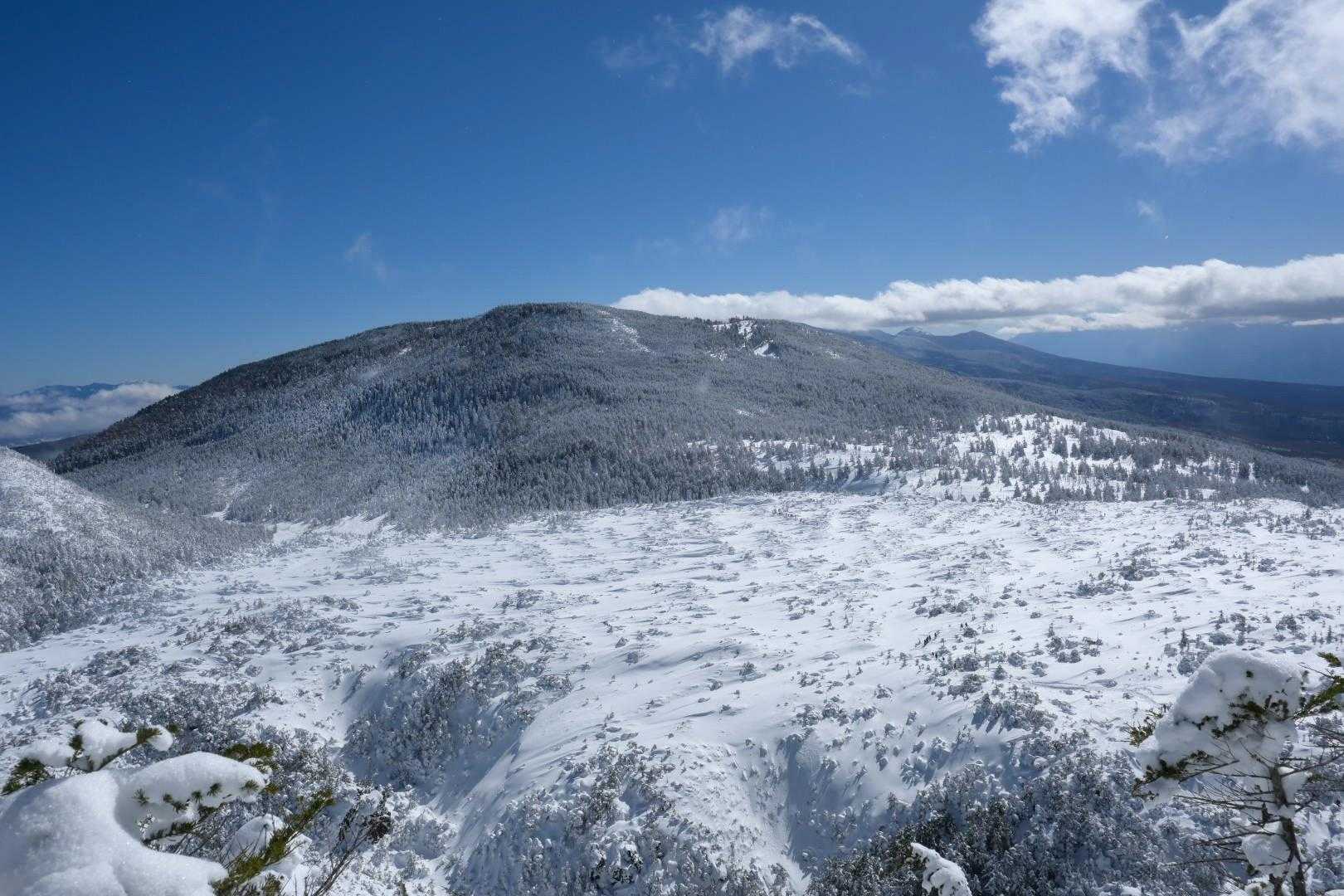 坪庭越しに縦枯山