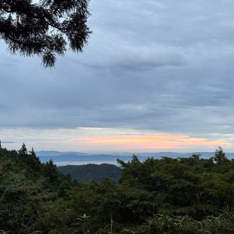 夕焼けが綺麗