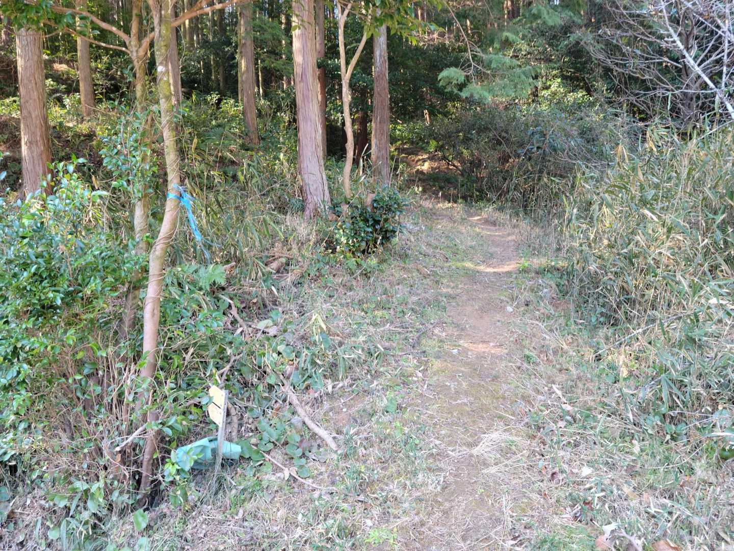ここから入ります。