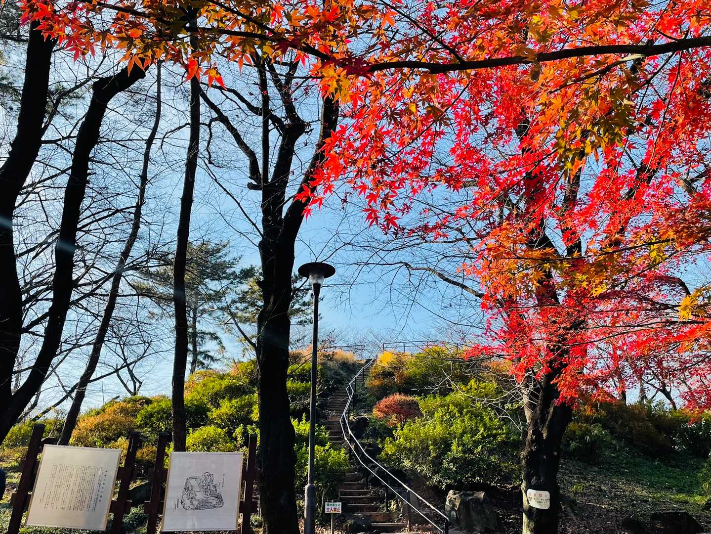 まだキレイな紅葉🍁が山頂手前で見られました🥰