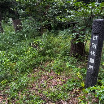 天沼山山頂！