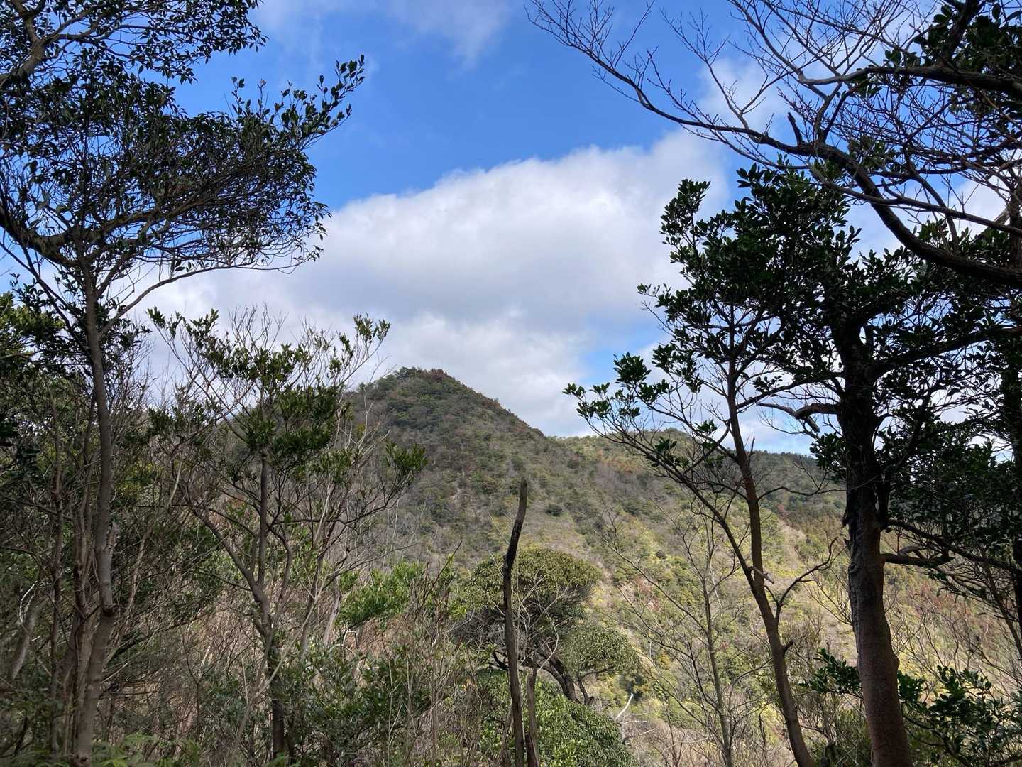 三越山-黒河内山 往復コースの写真