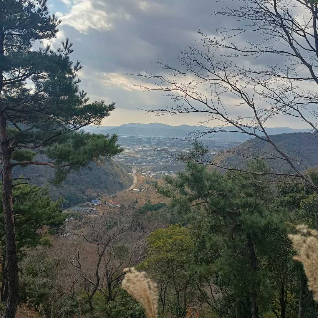 西尾根コース登山口-天円山 周回コースの写真