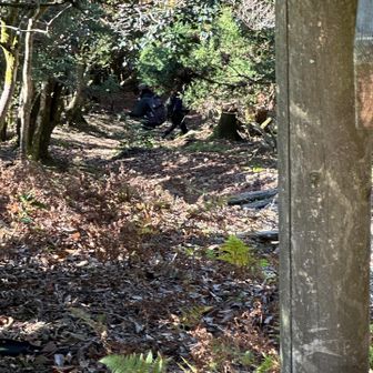 脱兎の如く、走り去るお2人…😳
「anmiさんと☘️kurara☘️さん」
走り降りて来られる姿は「ウリ坊」ちゃんのような勢いで写真は撮れず…😱