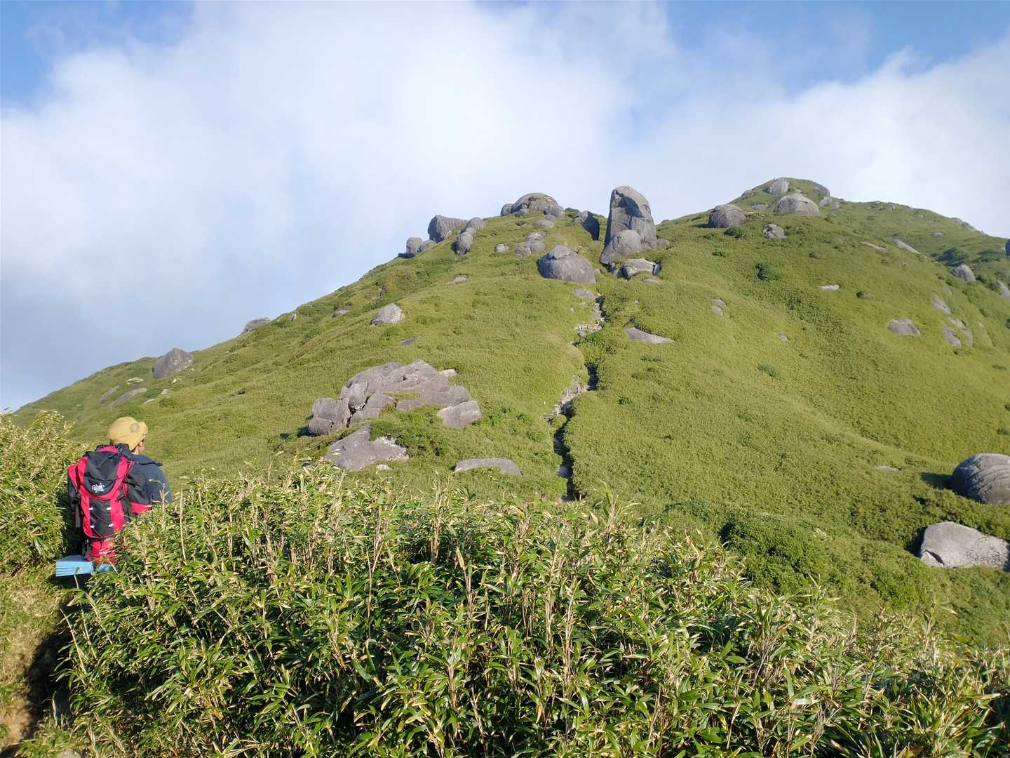 淀川入口-宮之浦岳-縄文杉-ウィルソン株-荒川登山口 縦走コースの写真