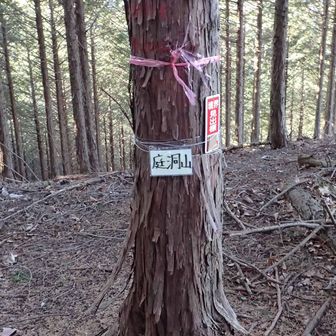 庭洞山（にわぼらやま）山頂。