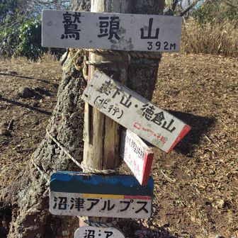 奥沼津アルプスを抜けて沼津アルプスになったら、沢山の登山者とすれ違います。
皆さん強風でも頑張るな〜。