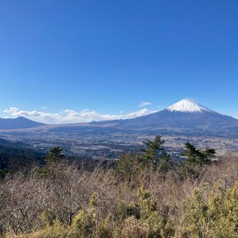 足柄峠からの富士山も絶景🗻💕