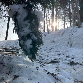 生き残りのよう