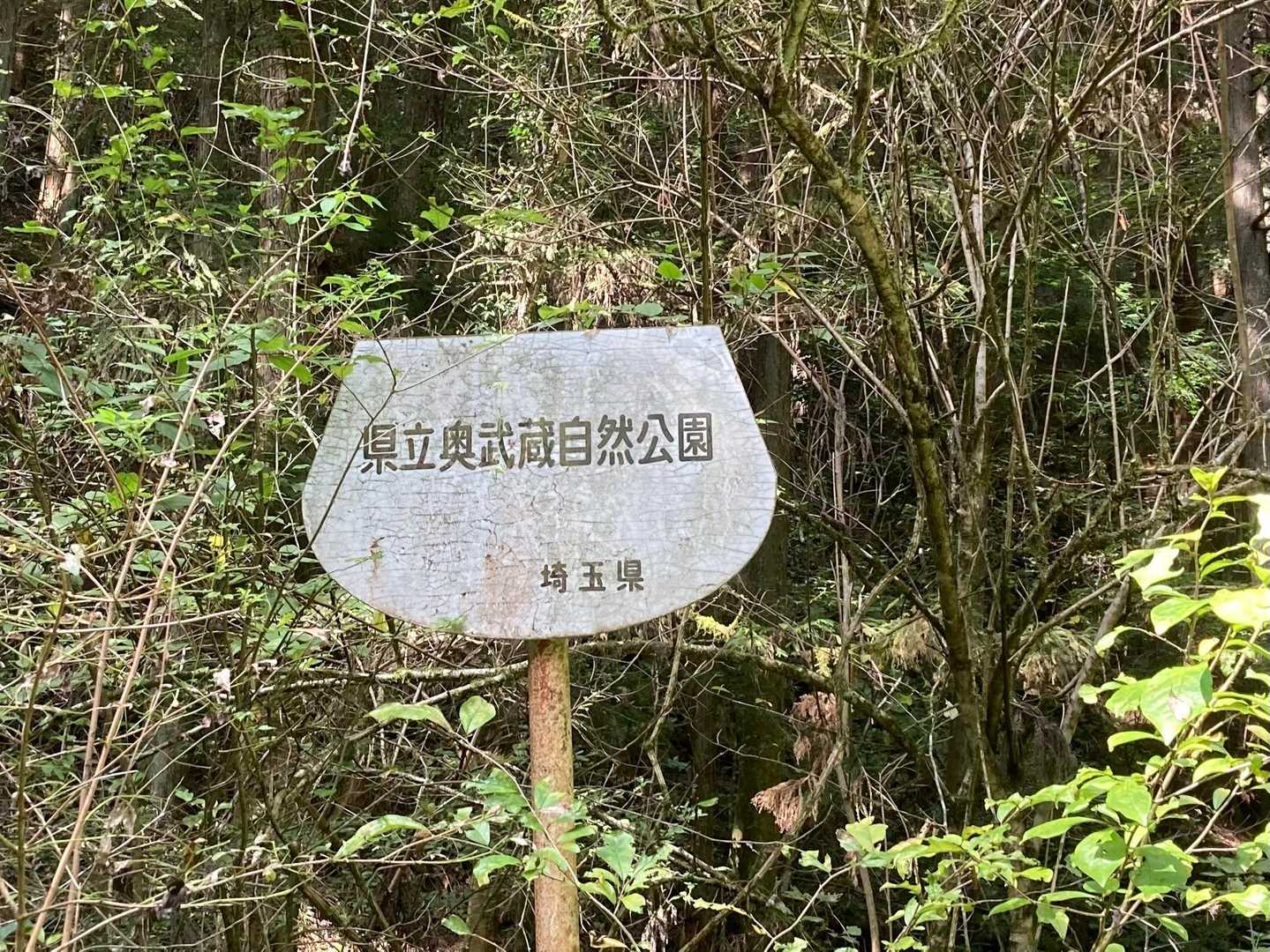 東吾野駅-福徳寺登山口-ユガテ-エビガ坂-武蔵横手駅 縦走コースの写真