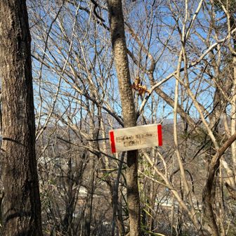 またまた可愛い標識