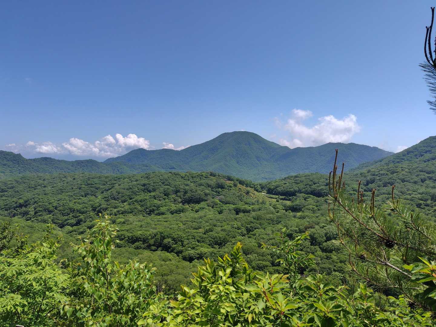 姥子山-鍬柄山-鈴ヶ岳 往復コースの写真