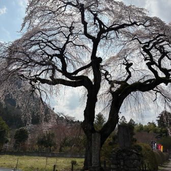 以上長泉寺でした♪♪♪