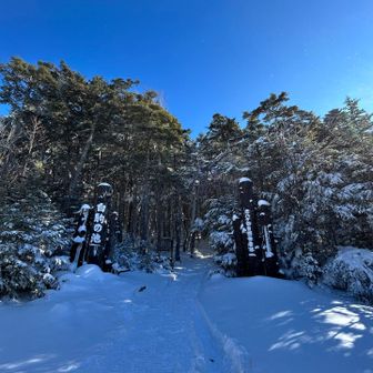 スノーシューであの細い木道を戻るの嫌だな…
白駒池🅿️の方からメルヘン街道を戻ります✌️