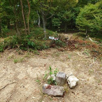 三等三角点「大岳」