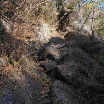 余り踏み跡が無い