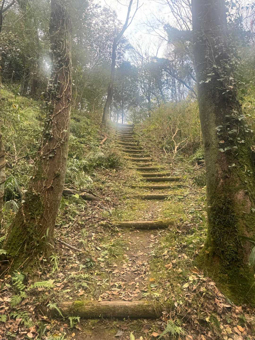 末登山口 -山神大明神-鬼ヶ臼山-鬼ヶ臼南登山口-八ッ山北 往復コースの写真