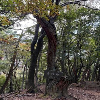 枯れてなお仲良き哉