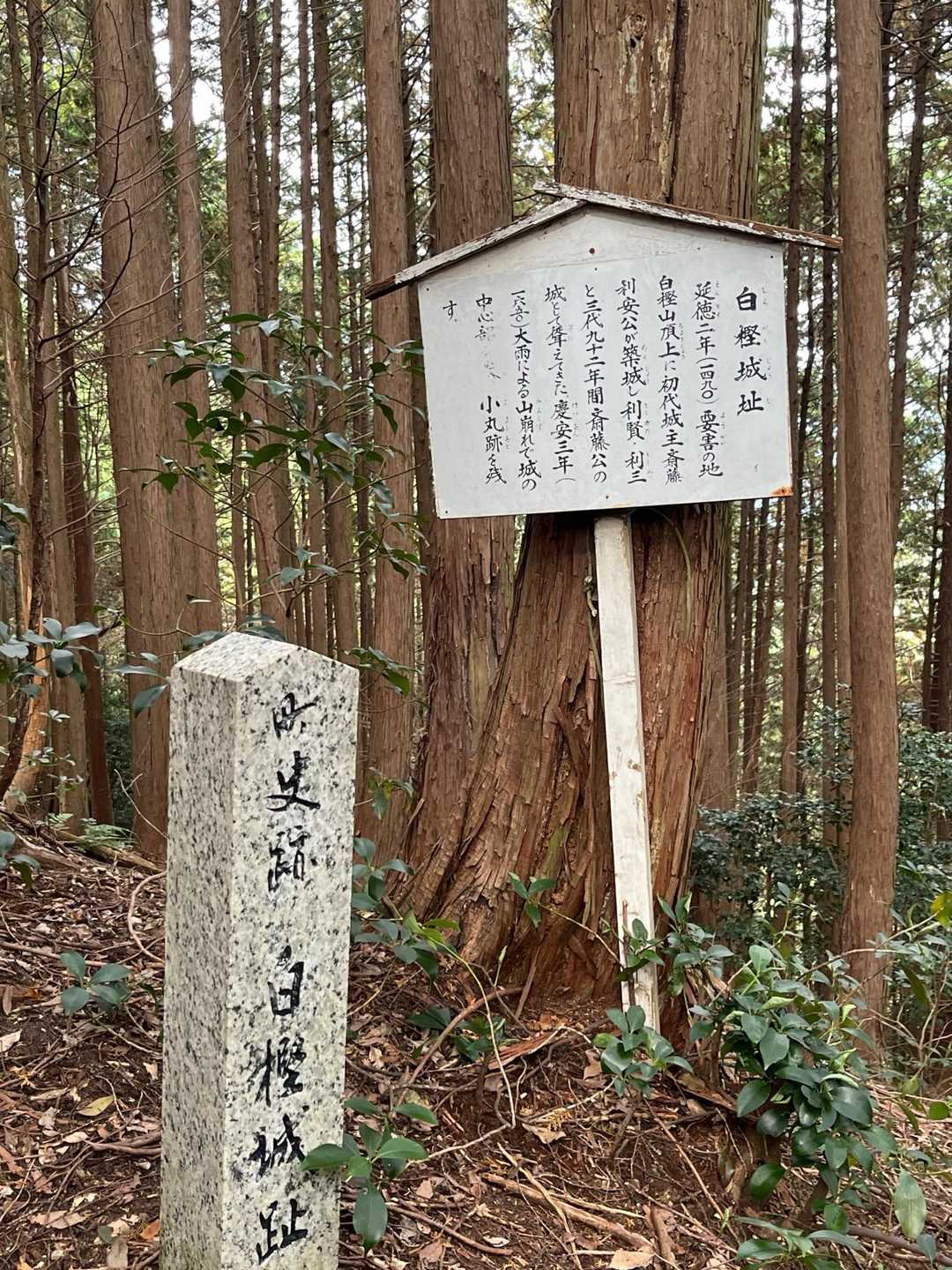 白樫城登り口石碑-白樫城址登山口-小島山 往復コースの写真