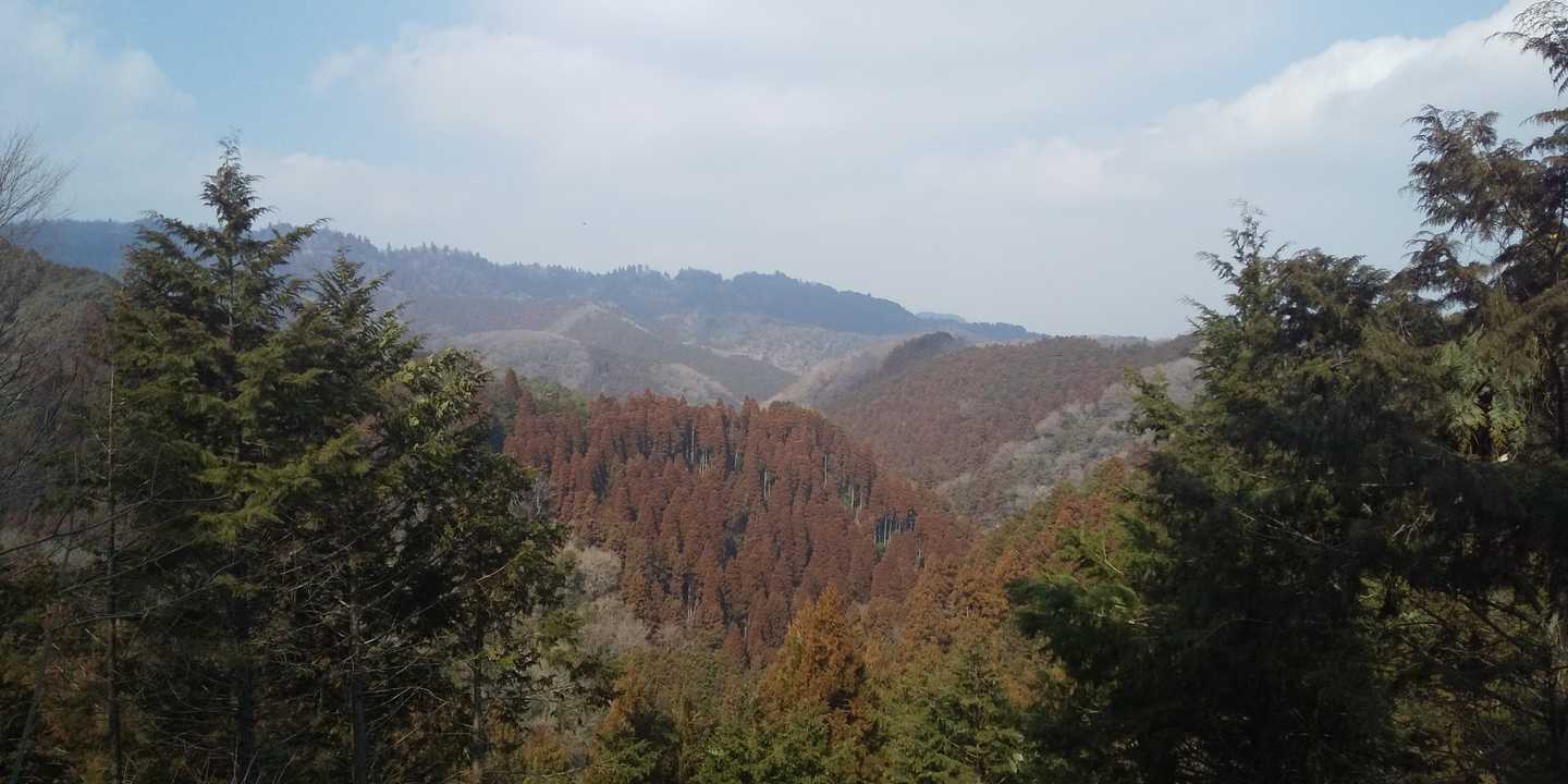 高尾山口駅-草戸峠-草戸山 往復コースの地図・登山ルート・登山口情報