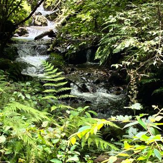 川眺めながら歩いてたら、

高尾山への登山口通過してました😙戻ります。