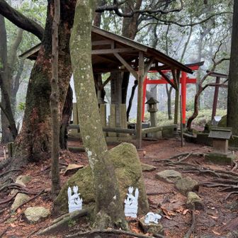 急登にやられて😅