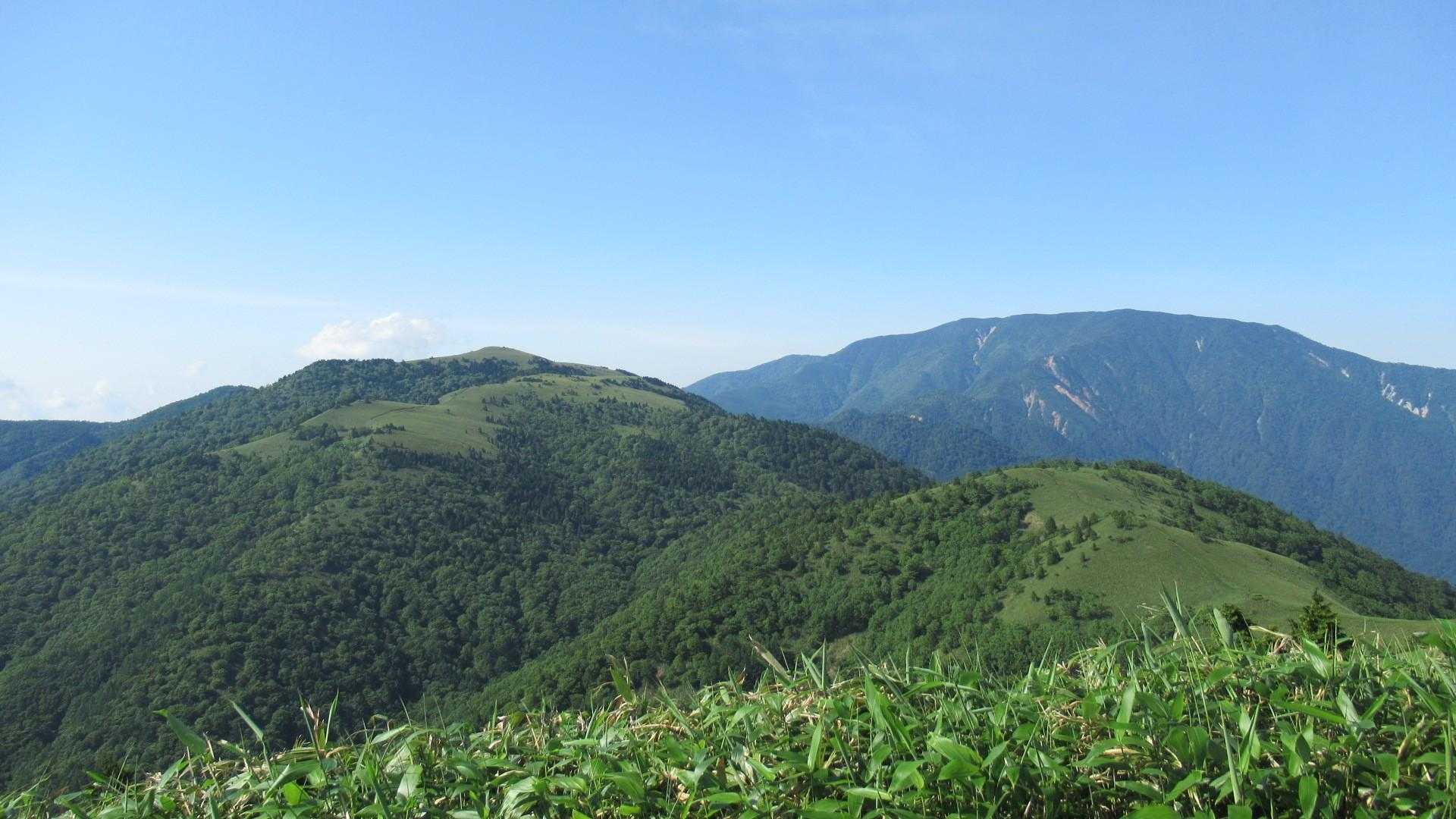南沢山はあちらかな？