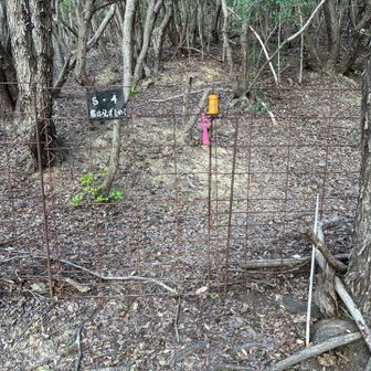 S-4の柵を開けて直登で行きます