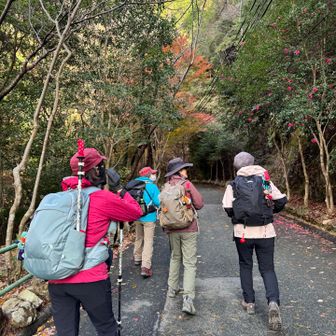 まあちゃん、katakataさん、ヤマスキさん、りきまるちゃん、今日はよろしくお願いします😊