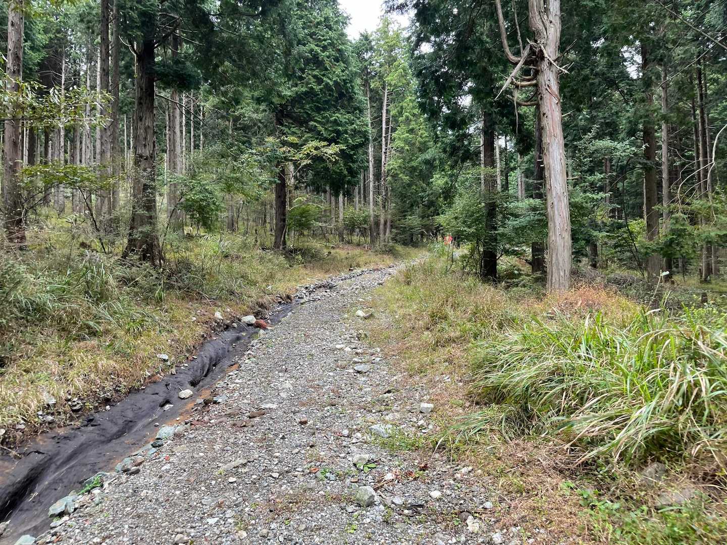 前に人がいなかったので
一位っぽい感　を写真でアピール🤣