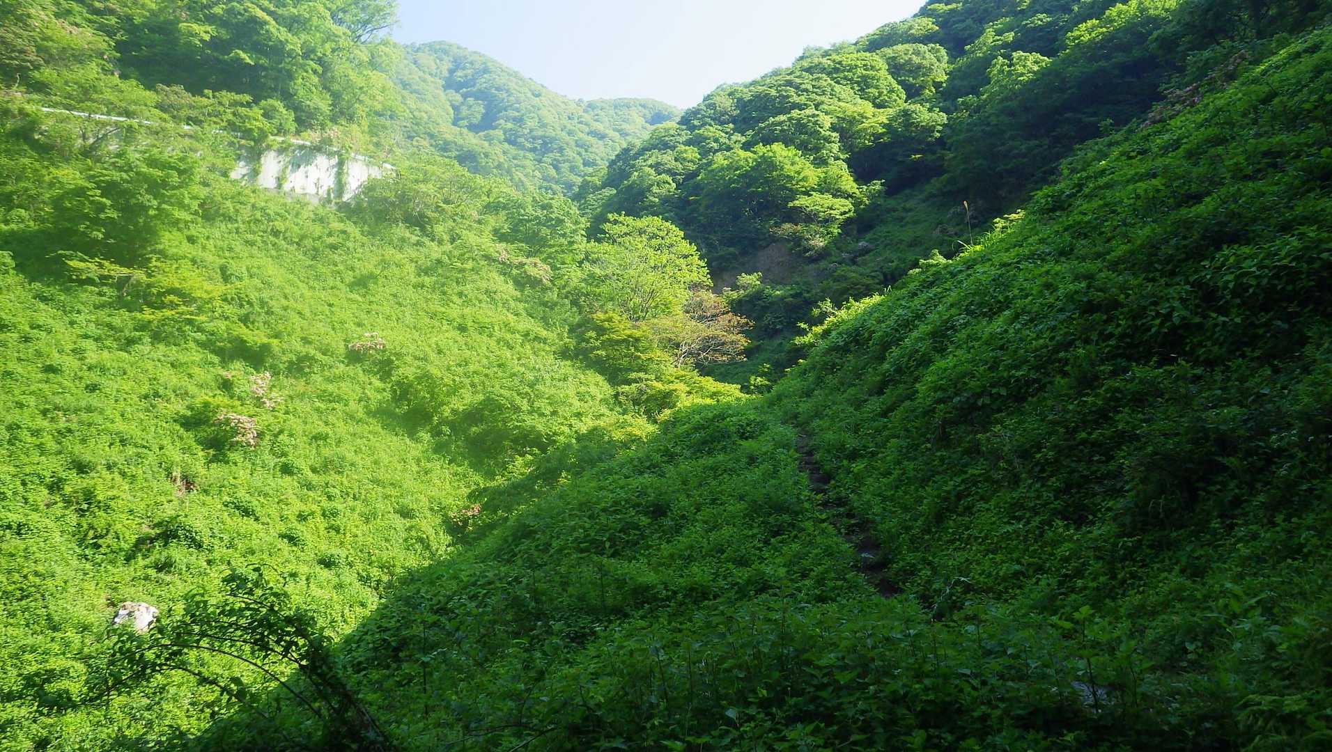 横山岳　白谷本流〜東尾根コ－スの写真