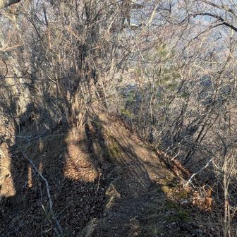 下りはこんな痩せ尾根。目の保護のためサングラス装着、少し緊張しながら下ります