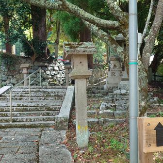 登山道が整備されています。
