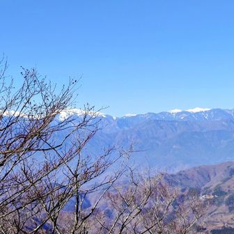 赤石方面は枝透かし