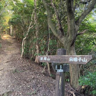 稜線に出た。少し風が吹く。左へ