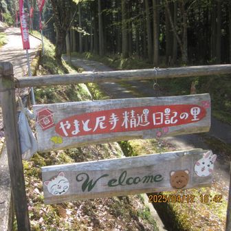 里山ウォーカー