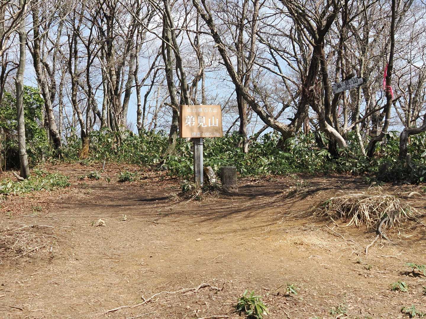 弟見山山頂に到着しました。