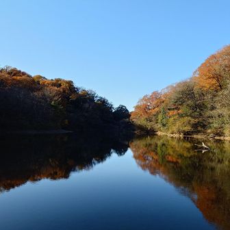 ここの紅葉も遅かった