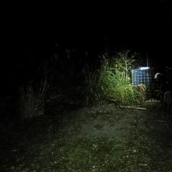 勢見山⛰️取り付き
柵は猪🐗捕獲柵
その柵左が取り付きだが、暫く藪漕ぎ🥵