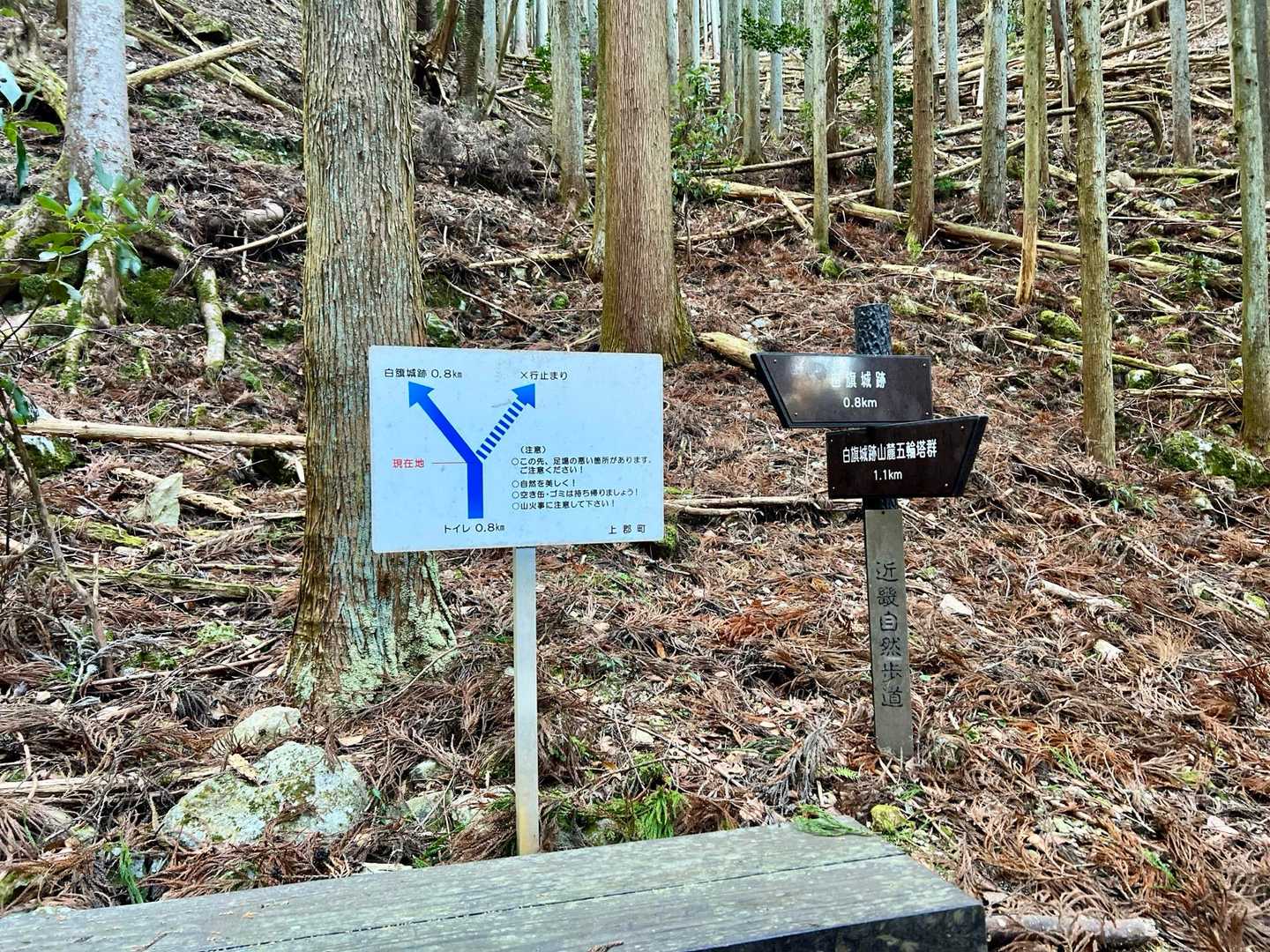 白旗山 往復コースの写真