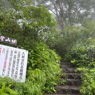 白いけど。