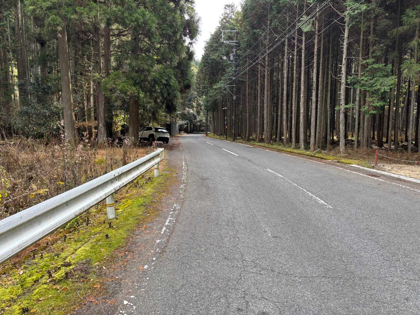 下山しました🚶
登山道は全体的になだらかだったので、初アイゼンでも歩きにくさはあまり感じ無かったです😊