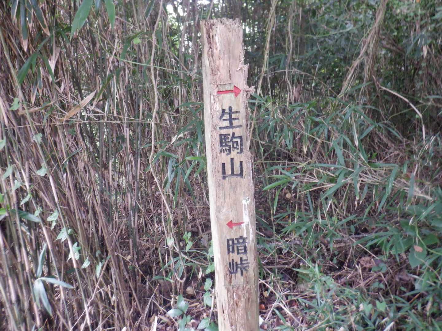 県境稜線