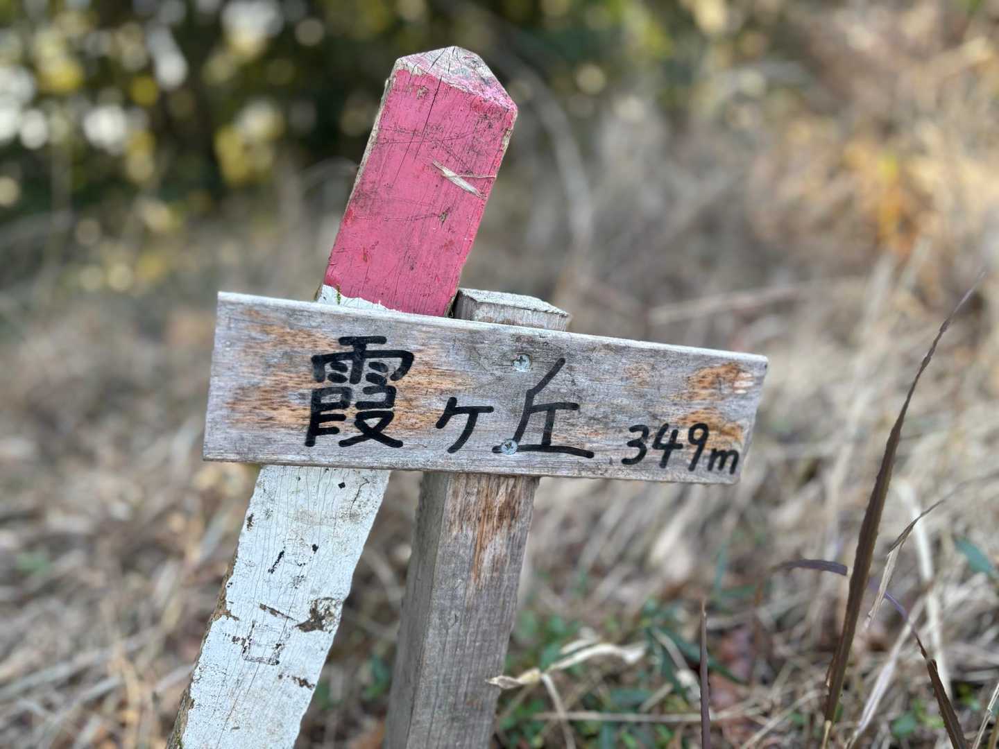 あった‼️
とうちゃーーく⛰️
