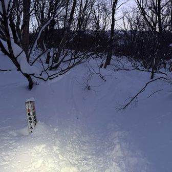 まだ雪が薄くてショートカットコースは無理
通常の登山ルート